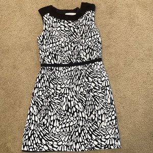 Ann Taylor Loft Dress Size Small!